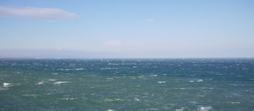Dans la Manche, un navire de pêche secourt quatre migrants – actu.fr - actu.fr