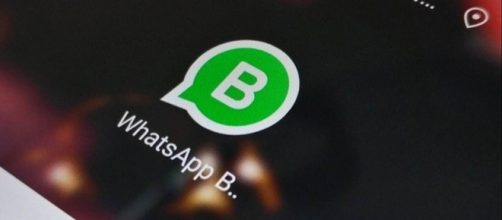 WhatsApp Business sarà un'app indipendente da WhatsApp Messenger (fonte foto https://static.toiimg.com)
