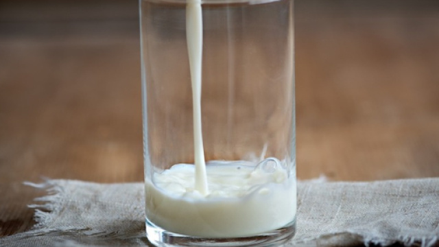 Latte in polvere con salmonella: coinvolte 83 nazioni.