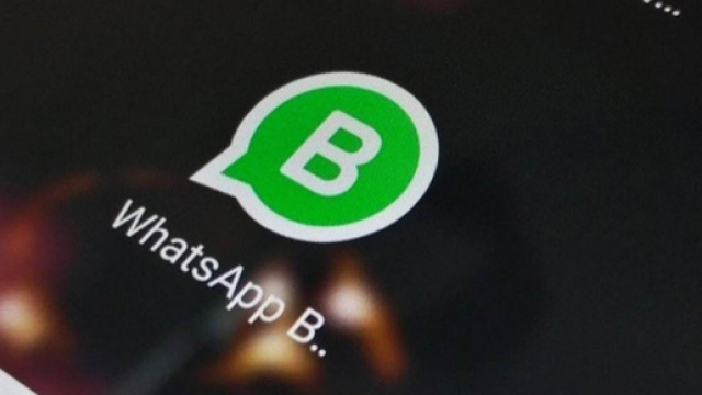 WhatsApp Business sarà un'app indipendente da WhatsApp Messenger (fonte foto https://static.toiimg.com)
