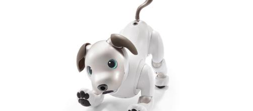 Aibo: The walking, talking and loving robot dog. - [Credit: Sony Product Release / With Approval]