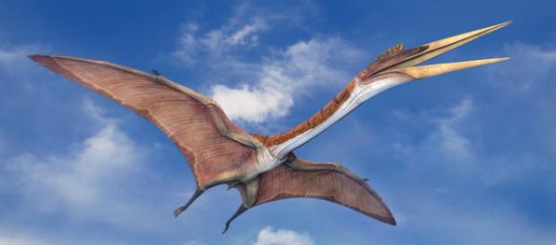 Los dinosaurios más grandes - Biología - infobiologia.net Los dinosaurios más grandes - Biología - infobiologia.net
