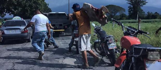 Venezuelenii au ajuns să omoare în grup animalele cu pietre, din cauza foametei din țară Venezuelenii au ajuns să omoare în grup animalele cu pietre, din cauza foametei din țară