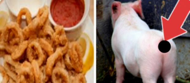 Que tal umas onion rings acompanhadas de bacon? Que tal umas onion rings acompanhadas de bacon?