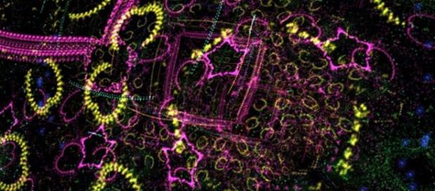 Presentan revolucionario proyecto de computadora cuántica gigante ... - sputniknews.com Presentan revolucionario proyecto de computadora cuántica gigante ... - sputniknews.com