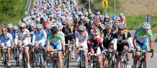 I ciclisti definiti animali da fattoria (foto granfondonews.it)