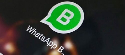 Whatsapp Business: l'app destinata alle aziende, ecco come funziona