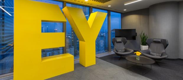 EY: Purpose, Not profit, is Business Leaders' Key to Success - diversityinc.com EY: Purpose, Not profit, is Business Leaders' Key to Success - diversityinc.com