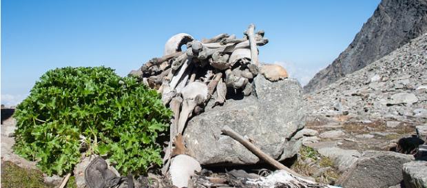 Human Skeletons in Roopkund Lake - Image credit - Schwiki (Own Work) | Wikimedia Human Skeletons in Roopkund Lake - Image credit - Schwiki (Own Work) | Wikimedia