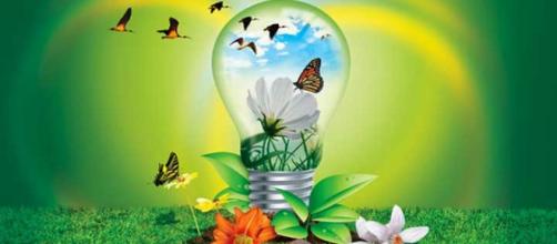 Tecnología y Medio Ambiente y gestión de residuos