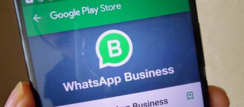 Finalmente WhatsApp Business sul Play Store
