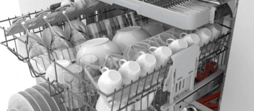 Funghi e batteri intasano le lavastoviglie: ecco cosa fare per ridurre i rischi alla salute