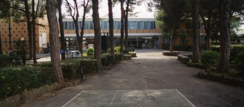Il docente del liceo Massimo di Roma arrestato per atti sessuali con un'alunna 15enne ha amesso le sue responsabilità davanti al gip.