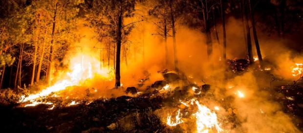 Hacer política con los incendios y los muertos - Edición General - elsaltodiario.com Hacer política con los incendios y los muertos - Edición General - elsaltodiario.com