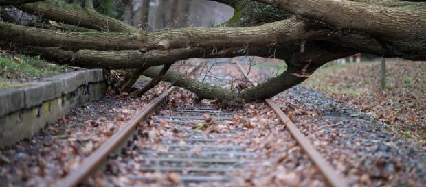 Orkan „Friederike“: Bahn stellt Fernverkehr ein | FR.de - fr.de Orkan „Friederike“: Bahn stellt Fernverkehr ein | FR.de - fr.de