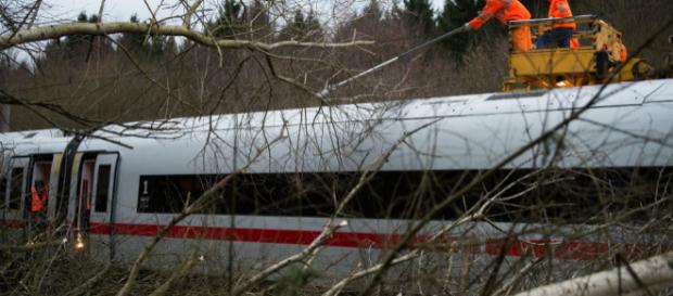 Un tren de alta velocidad entre árboles caídos entre Hannover y Goettingen en Baja Sajonia el jueves Un tren de alta velocidad entre árboles caídos entre Hannover y Goettingen en Baja Sajonia el jueves