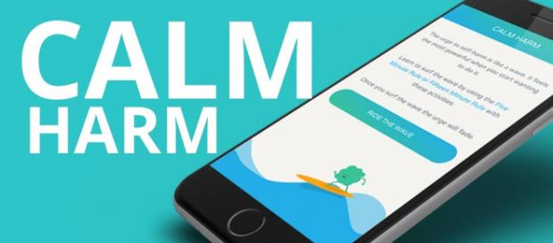 Daño en calma: proporciona tareas para ayudar a resistir la necesidad de auto-daño. Daño en calma: proporciona tareas para ayudar a resistir la necesidad de auto-daño.