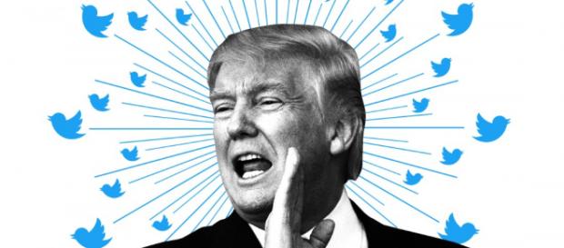 Donald Trump, une année de tweets Donald Trump, une année de tweets