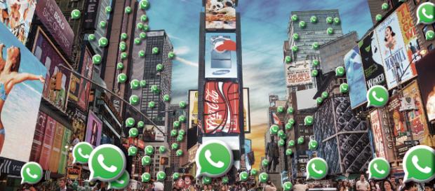 Lançamento do novo WhatsApp promete bombar os negócios Lançamento do novo WhatsApp promete bombar os negócios