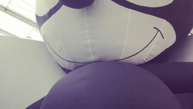 L'autrice Fuani Marino, al suo esordio