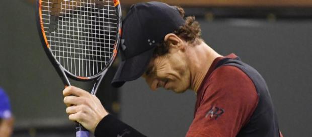 Andy Murray could miss the Australia open Andy Murray could miss the Australia open