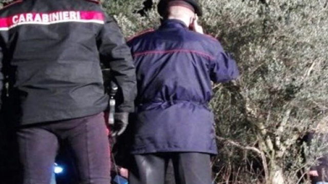 Cadavere fatto a pezzi ritrovato in un campo a Valeggio: &egrave; una ... - veronasera.it