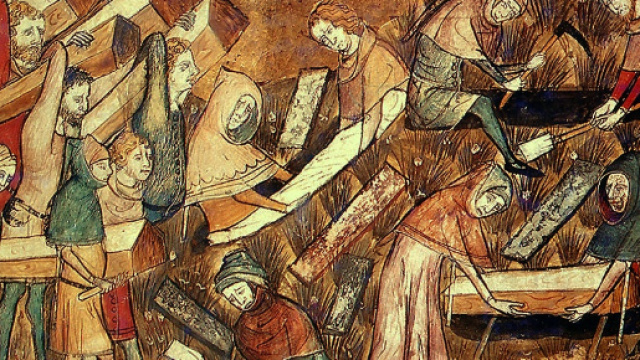 La peste del 1348: a diffonderla furono pulci e pidocchi