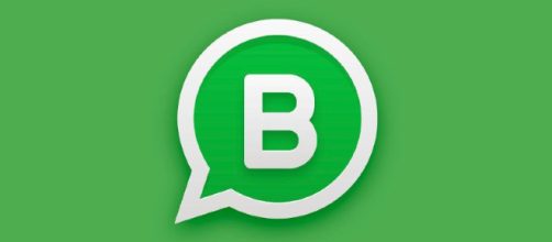 WhatsApp Business: ecco come funziona l'app pensata per le imprese - farewebmarketing.it