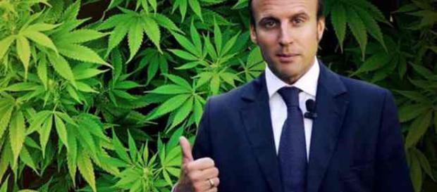 Dépénalisation du cannabis : Emmanuel macron retourne sa veste Dépénalisation du cannabis : Emmanuel macron retourne sa veste
