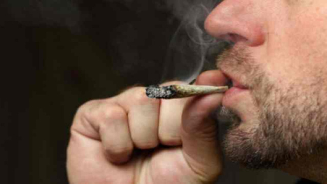 Cannabis : La France veut alléger les sanctions pour les consommateurs