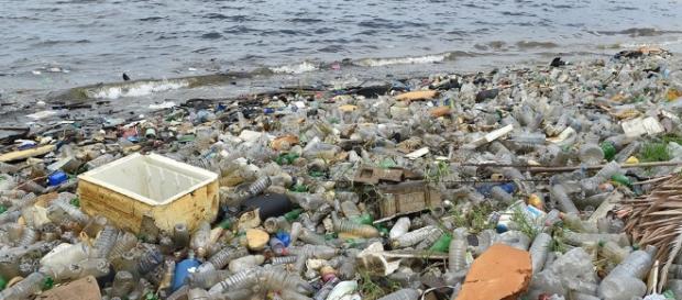 deja de recibir desechos plásticos de todo el mundo y el planeta ... - clarin.com deja de recibir desechos plásticos de todo el mundo y el planeta ... - clarin.com