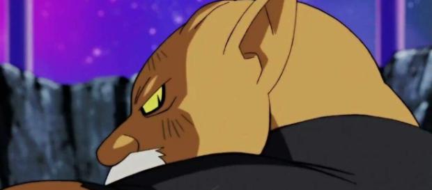 Toppo el Destructor del Universo 11. Toppo el Destructor del Universo 11.