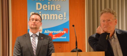 Alternativa para Alemania no termina de crecer en los sondeos electorales en Alemania