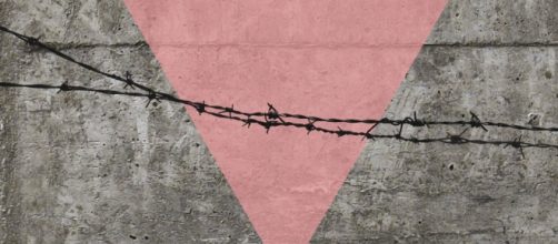 Lo sterminio dimenticato dei Triangoli rosa - articolotre.com