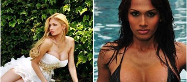 Elas chamam a atenção com sua beleza unica Elas chamam a atenção com sua beleza unica