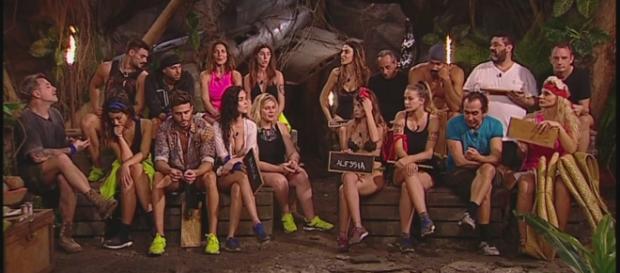 isola dei famosi 2018 stefano de martino isola dei famosi 2018 stefano de martino