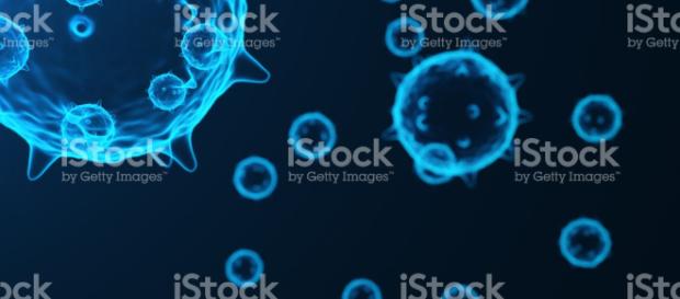 Virus Y Gérmenes Bacterias Células Infectan Por Organismo ... - istockphoto.com Virus Y Gérmenes Bacterias Células Infectan Por Organismo ... - istockphoto.com