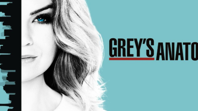 Grey's Anatomy, 14^ stagione - Decimo episodio