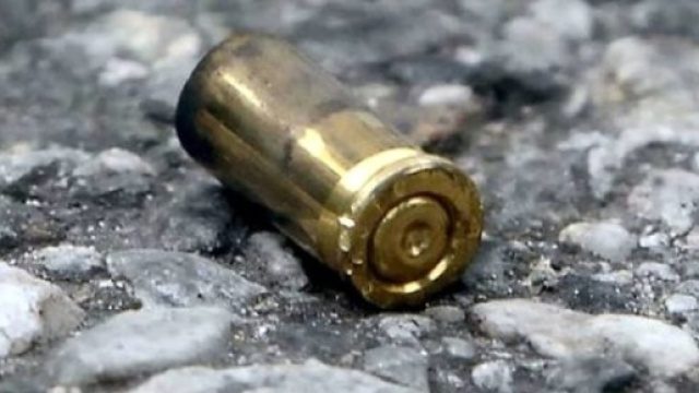 Tre colpi al volto, Annamaria Palmieri è stata uccisa come un boss