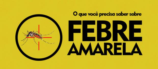 Febre Amarela: O que você precisa saber Febre Amarela: O que você precisa saber