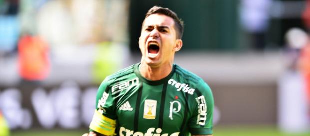 Jogador decidiu ficar no Palmeiras Jogador decidiu ficar no Palmeiras