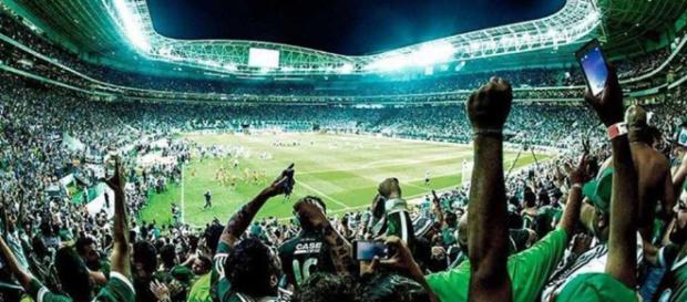 Torcida do Palmeiras está animada Torcida do Palmeiras está animada
