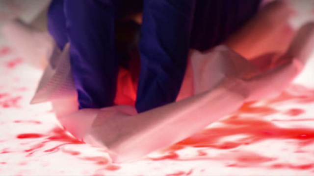 Orrore per l'atroce fine di una giovane mamma: uccisa, fatta a pezzi e cucinata dal suo ex