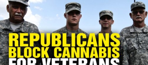 Veterans and marijuana - Image credit - Natural News | Vimeo
