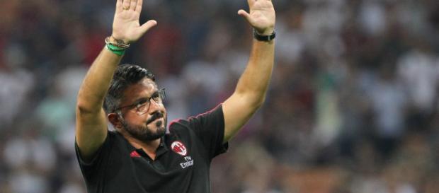 Gattuso puede recibir un nuevo refuerzo Gattuso puede recibir un nuevo refuerzo
