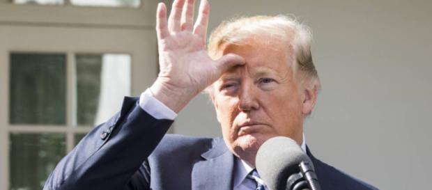 Trump y su primer año: ¿ganador o perdedor? Trump y su primer año: ¿ganador o perdedor?