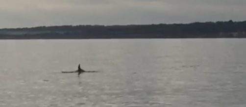 Un'immagine dei video girati nel Salento.