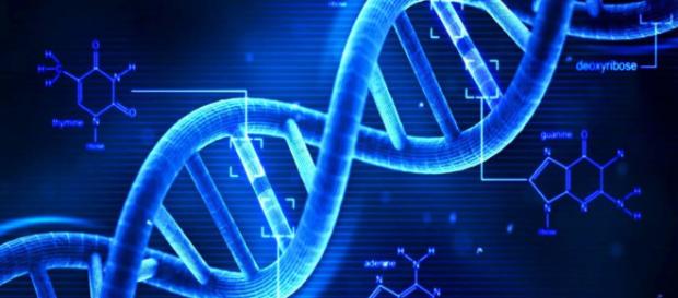 ADN este prescurtarea de la acidul dezoxiribonucleic ADN este prescurtarea de la acidul dezoxiribonucleic
