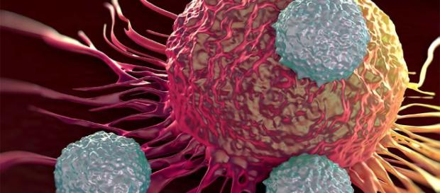 Más tratamientos experimentales contra el cáncer, por favor Más tratamientos experimentales contra el cáncer, por favor
