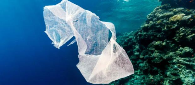 Una bolsa de plástico desechada flota en el océano junto a un arrecife de coral tropical. Una bolsa de plástico desechada flota en el océano junto a un arrecife de coral tropical.